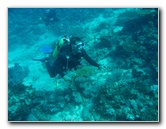 Rainbow-Reef-Scuba-Diving-Taveuni-Fiji-039