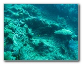 Rainbow-Reef-Scuba-Diving-Taveuni-Fiji-060