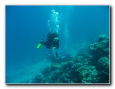 Rainbow-Reef-Scuba-Diving-Taveuni-Fiji-182