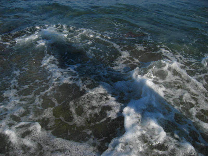 Red-Reef-Park-Boca-Raton-FL-020