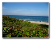 Red-Reef-Park-Boca-Raton-FL-004