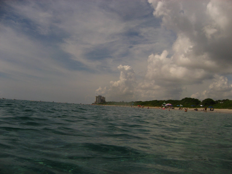 Red-Reef-Park-Underwater-Snorkeling-Pictures-Boca-Raton-FL-046