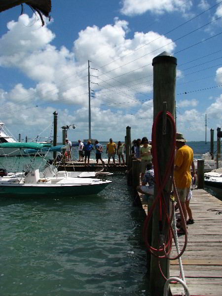 Robbies-Marina-Tarpon-Feeding-Islamorada-FL-002