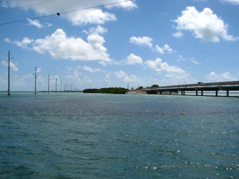 Robbies-Marina-Tarpon-Feeding-Islamorada-FL-015