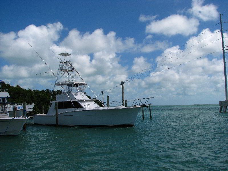 Robbies-Marina-Tarpon-Feeding-Islamorada-FL-016