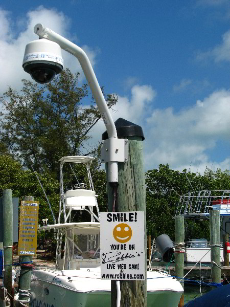 Robbies-Marina-Tarpon-Feeding-Islamorada-FL-020