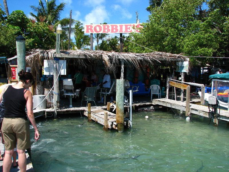 Robbies-Marina-Tarpon-Feeding-Islamorada-FL-034