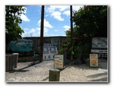 Robbies-Marina-Tarpon-Feeding-Islamorada-FL-001