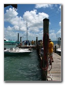 Robbies-Marina-Tarpon-Feeding-Islamorada-FL-002