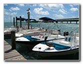 Robbies-Marina-Tarpon-Feeding-Islamorada-FL-010