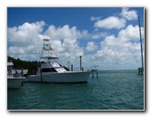 Robbies-Marina-Tarpon-Feeding-Islamorada-FL-016