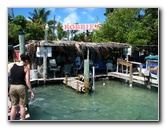 Robbies-Marina-Tarpon-Feeding-Islamorada-FL-034