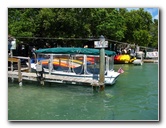 Robbies-Marina-Tarpon-Feeding-Islamorada-FL-035