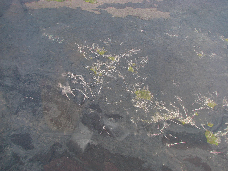 Safari-Helicopter-Tours-Volcanic-Lava-Waterfalls-Hilo-Big-Island-Hawaii-049