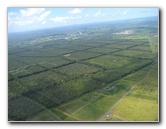 Safari-Helicopter-Tours-Volcanic-Lava-Waterfalls-Hilo-Big-Island-Hawaii-009