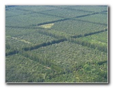 Safari-Helicopter-Tours-Volcanic-Lava-Waterfalls-Hilo-Big-Island-Hawaii-010