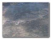 Safari-Helicopter-Tours-Volcanic-Lava-Waterfalls-Hilo-Big-Island-Hawaii-044