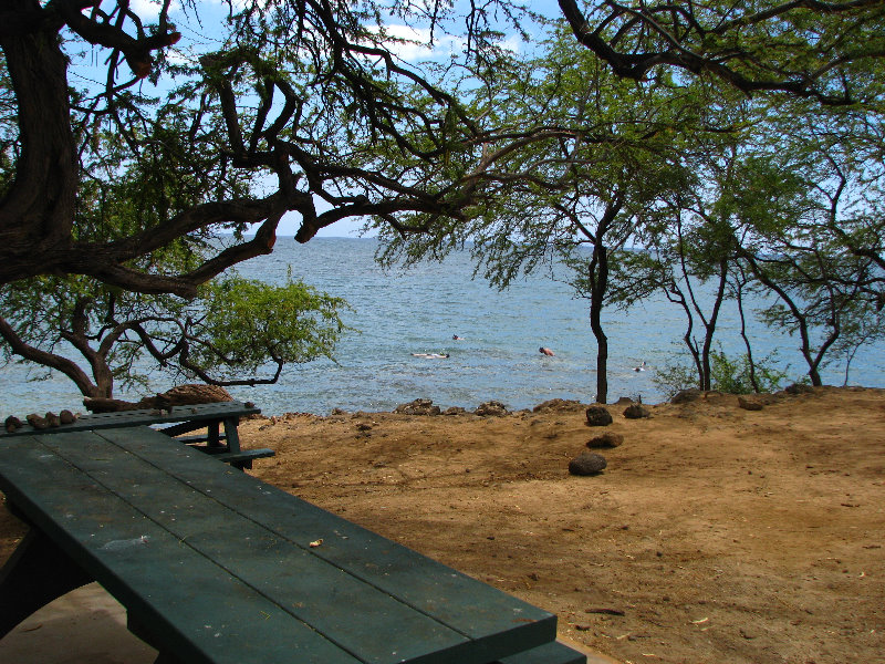Samuel-M-Spencer-Beach-Park-Kohala-Coast-Big-Island-Hawaii-006