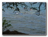 Samuel-M-Spencer-Beach-Park-Kohala-Coast-Big-Island-Hawaii-007