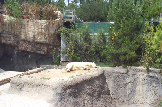 San-Diego-Zoo-Pictures-001