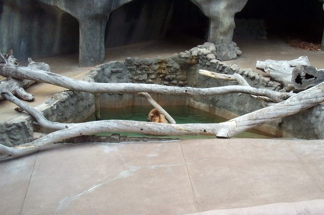 San-Diego-Zoo-Pictures-009