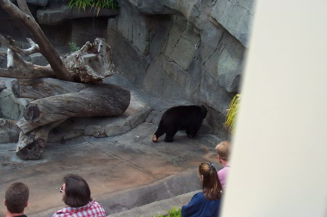 San-Diego-Zoo-Pictures-010