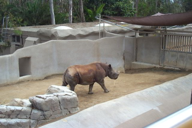 San-Diego-Zoo-Pictures-011