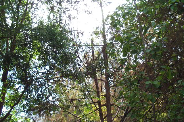 San-Diego-Zoo-Pictures-013