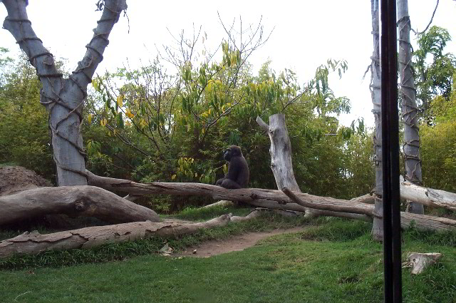 San-Diego-Zoo-Pictures-015