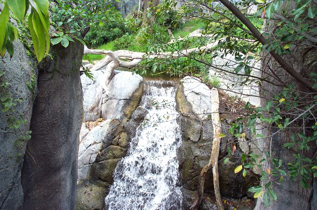 San-Diego-Zoo-Pictures-016