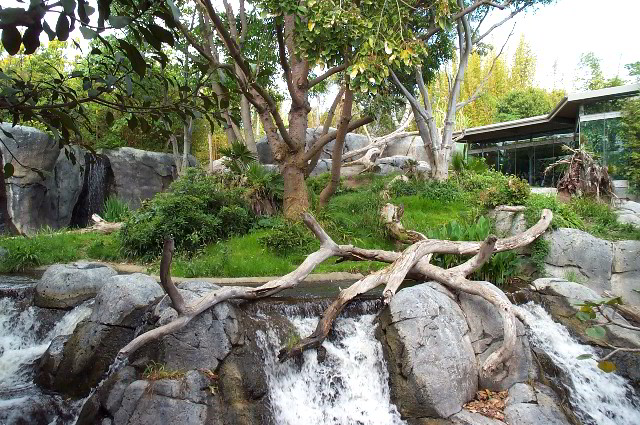 San-Diego-Zoo-Pictures-017