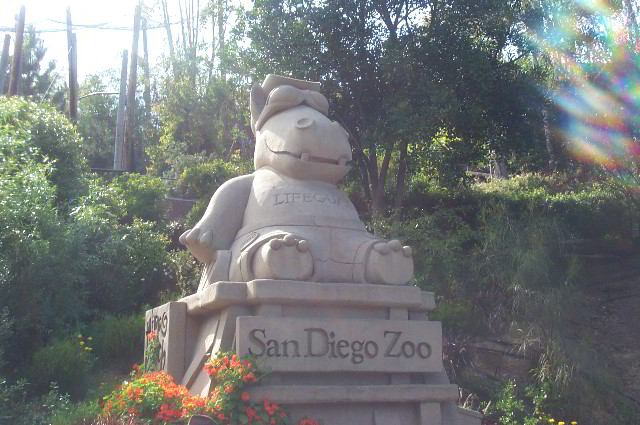 San-Diego-Zoo-Pictures-020