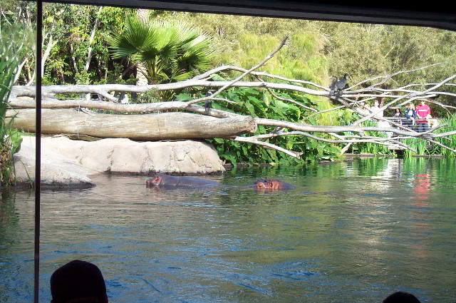 San-Diego-Zoo-Pictures-023