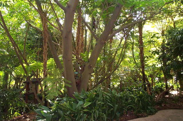 San-Diego-Zoo-Pictures-028