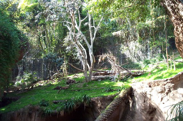 San-Diego-Zoo-Pictures-030