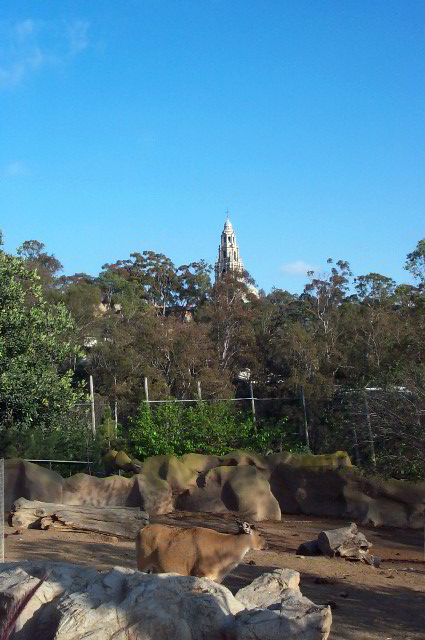 San-Diego-Zoo-Pictures-069