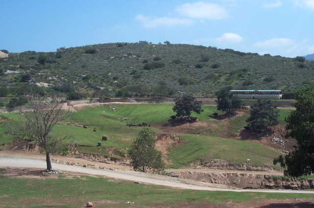 San-Diego-Zoo-Pictures-077