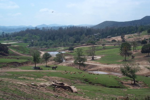 San-Diego-Zoo-Pictures-083