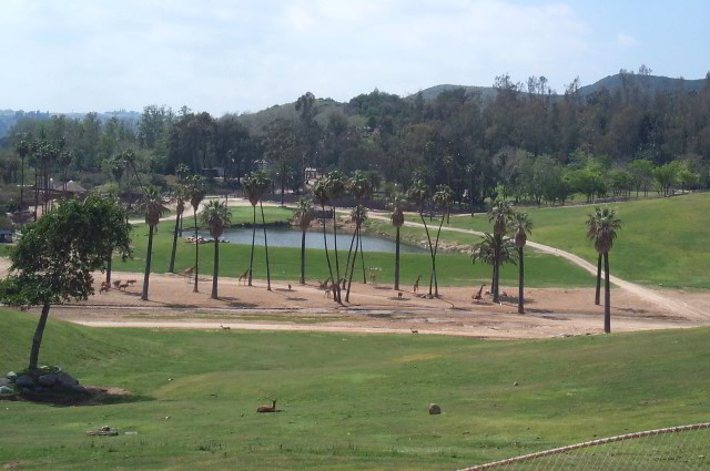 San-Diego-Zoo-Pictures-087