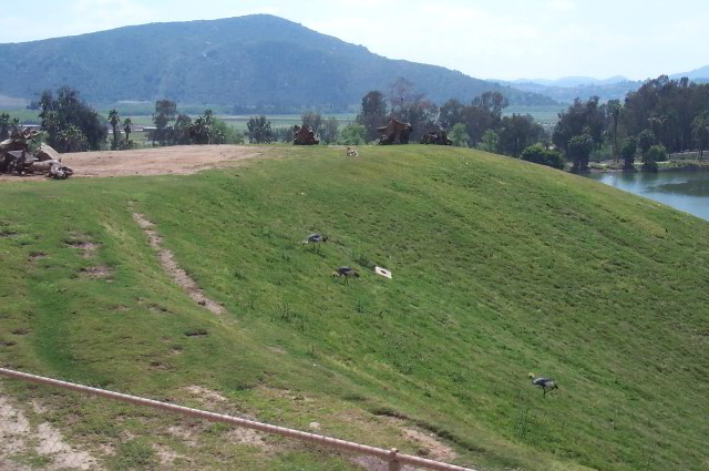 San-Diego-Zoo-Pictures-088