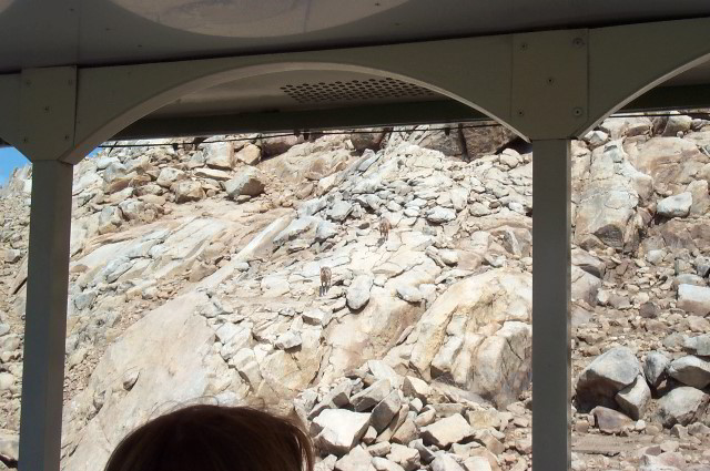 San-Diego-Zoo-Pictures-092