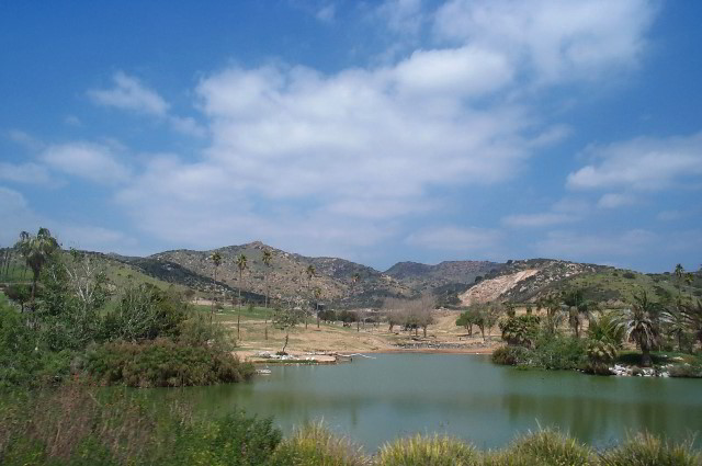 San-Diego-Zoo-Pictures-096