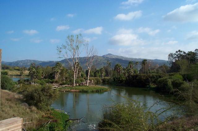 San-Diego-Zoo-Pictures-105