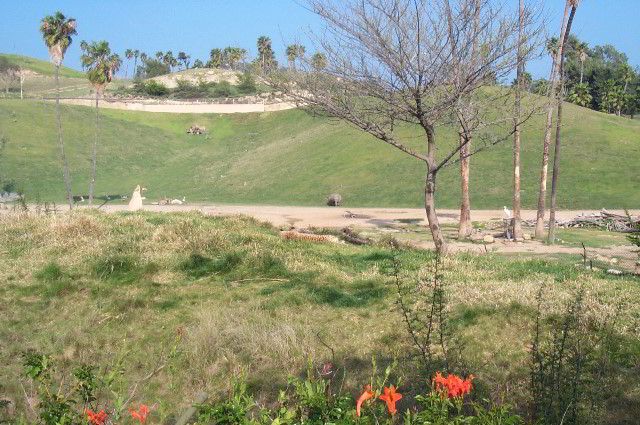 San-Diego-Zoo-Pictures-108