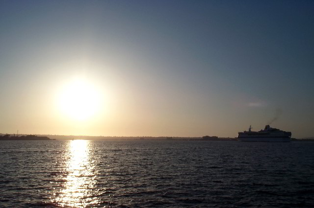 San-Diego-Zoo-Pictures-112