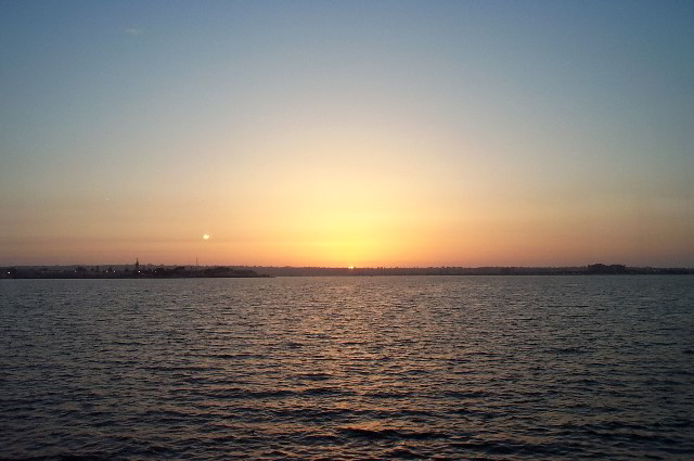 San-Diego-Zoo-Pictures-114