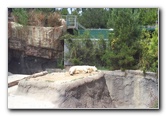 San-Diego-Zoo-Pictures-001