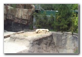 San-Diego-Zoo-Pictures-002