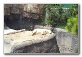 San-Diego-Zoo-Pictures-004