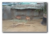 San-Diego-Zoo-Pictures-007